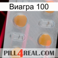 Виагра 100 24